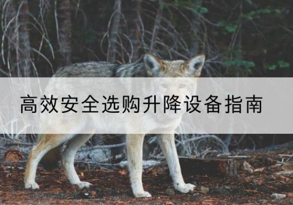 胡杨河升降货梯厂家推荐-*安全选购升降设备指南