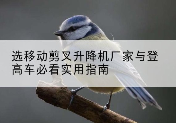 胡杨河电动升降机厂家-选移动剪叉升降机厂家与登高车必看实用指南
